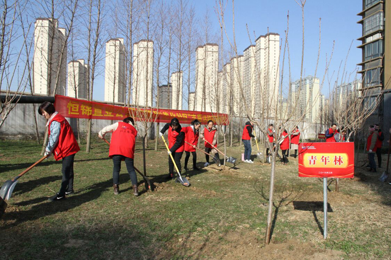 QQ圖片20190312191808.jpg QQ圖片20190312191808.jpg